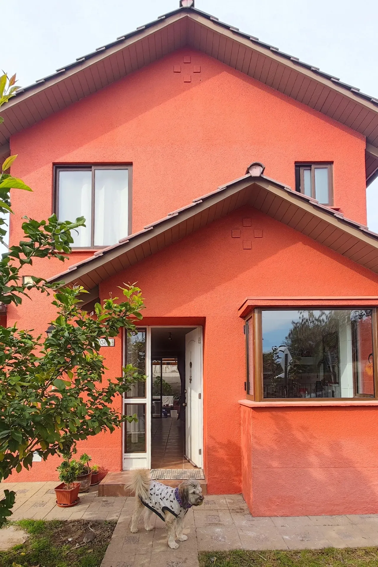 Fachada con ventanales nuevos de termopanel y jardín, Ventanas Termopanel Las Violetas